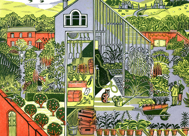 Clare Melinsky, Beautifully detailed linocut illustration of a garden with different flowers and tree species 